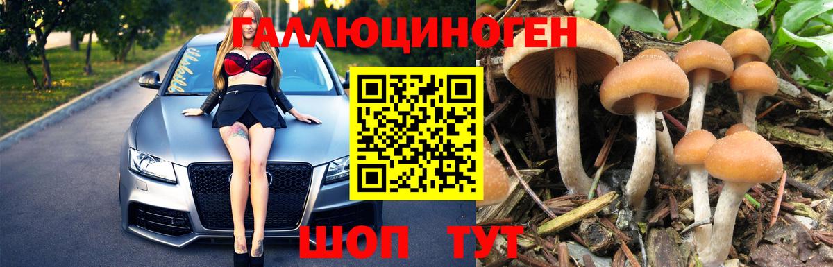 Михайловка  Псилоцибиновые грибы Psilocybe  Вход с VPN 