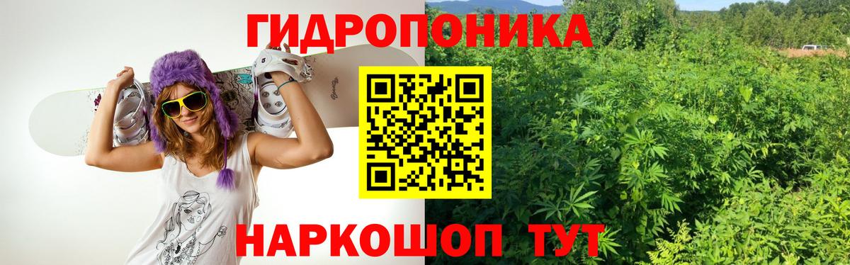 МАРИХУАНА семена Михайловка